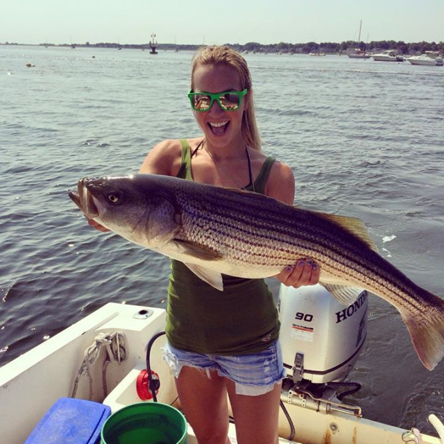 Merrimack river Striper